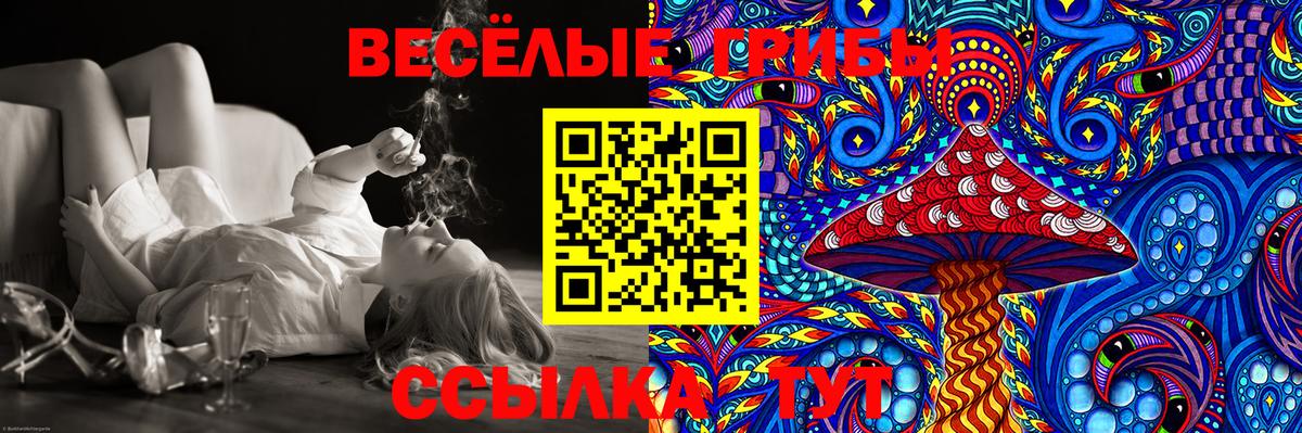 Щёкино  Галлюциногенные грибы Cubensis  Галлюциногенные грибы GOLDEN TEACHER  Вход с VPN 